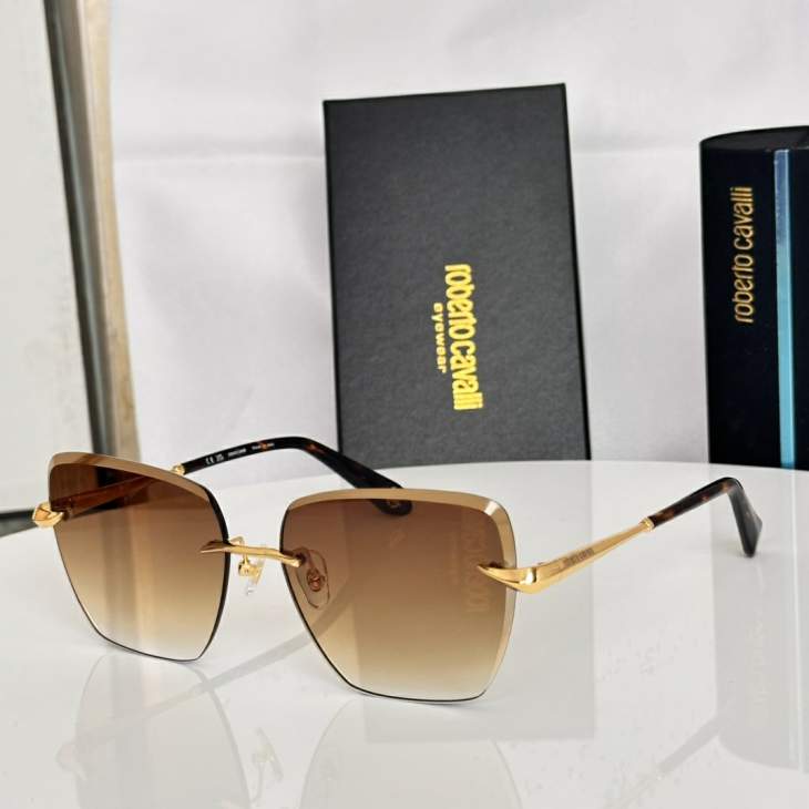 Picture of Roberto Cavalli Sunglasses _SKUfw79339289fw